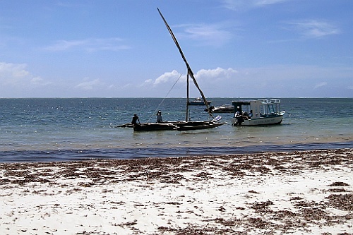 Kenia (602)